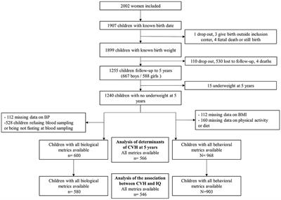 Cardiovascular Health at Age 5 Years: Distribution, Determinants, and Association With Neurodevelopment